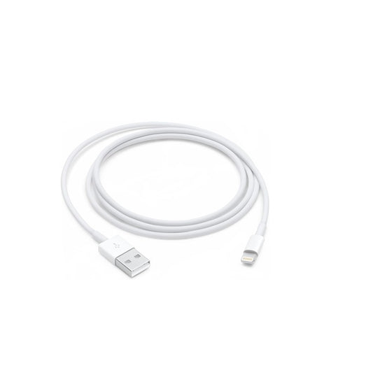 Apple Lightning to USB Cable (1 M)