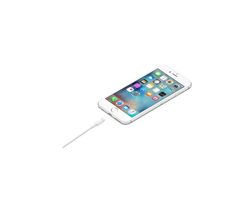 Apple Lightning to USB Cable (1 M)